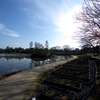 路