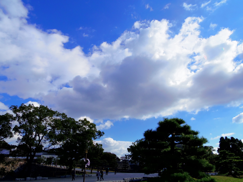 緑と冬空