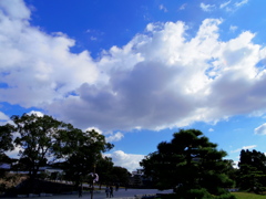 緑と冬空