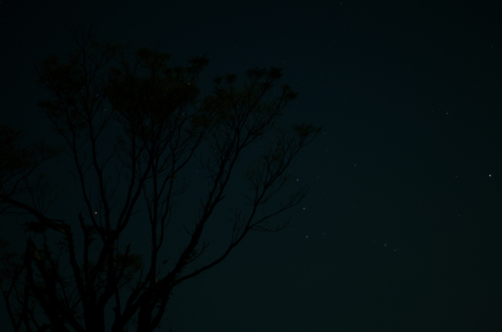 夜と２