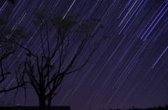 星落１