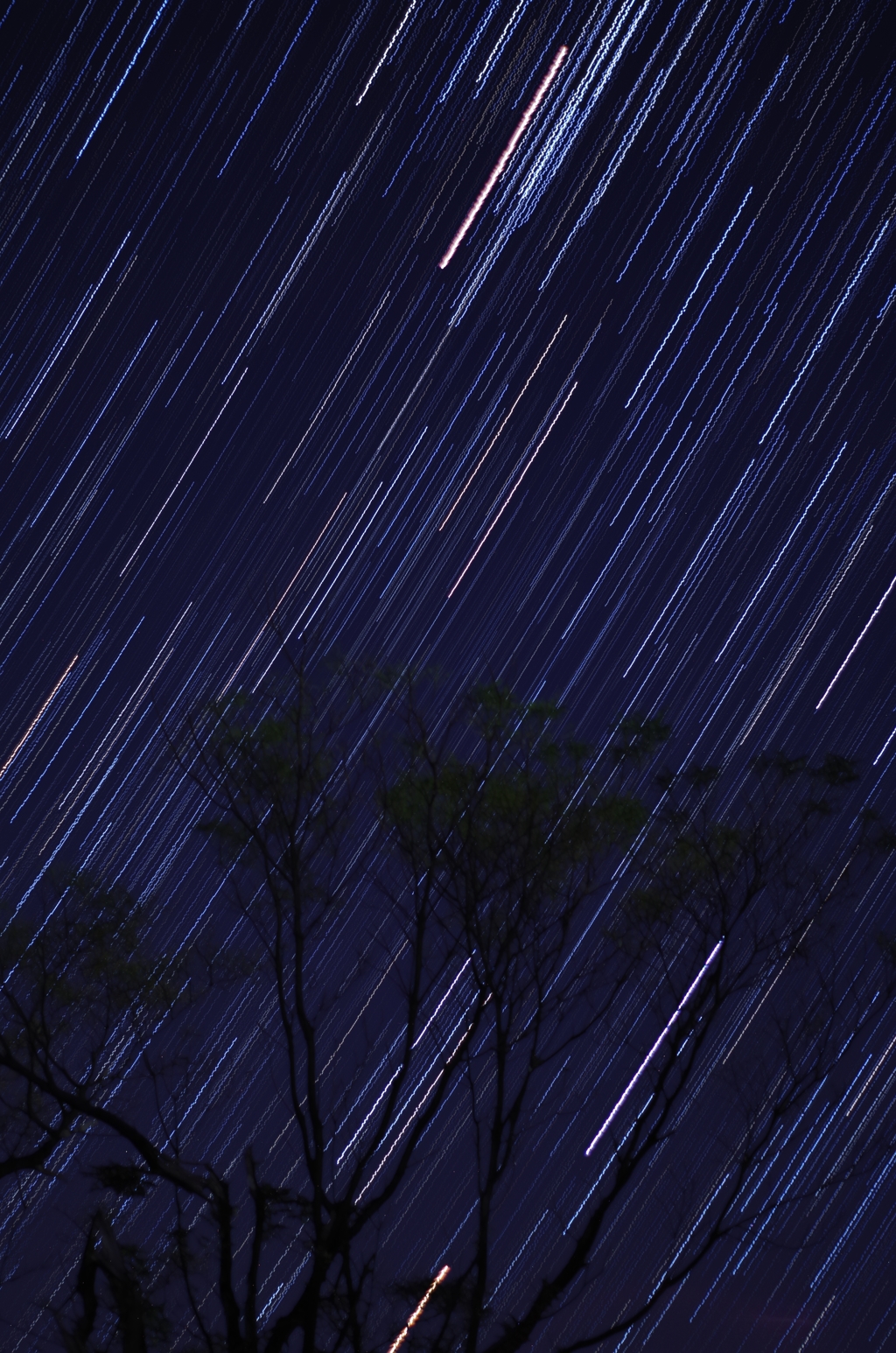星落２