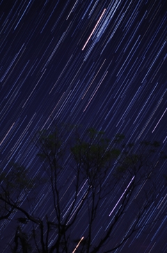 星落２