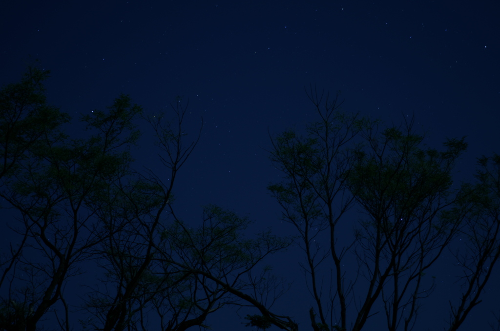 夜と１