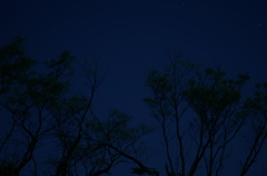 夜と１