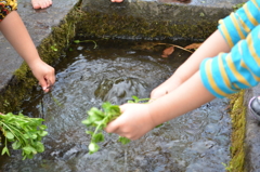 水のあるところに人は集まる②