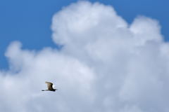 一転、青空。