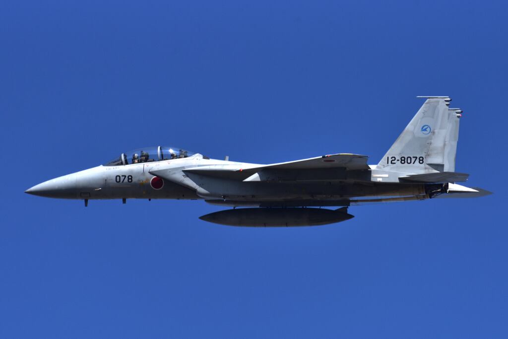 2019岐阜基地航空祭 2