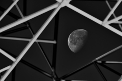 月齢19.9
