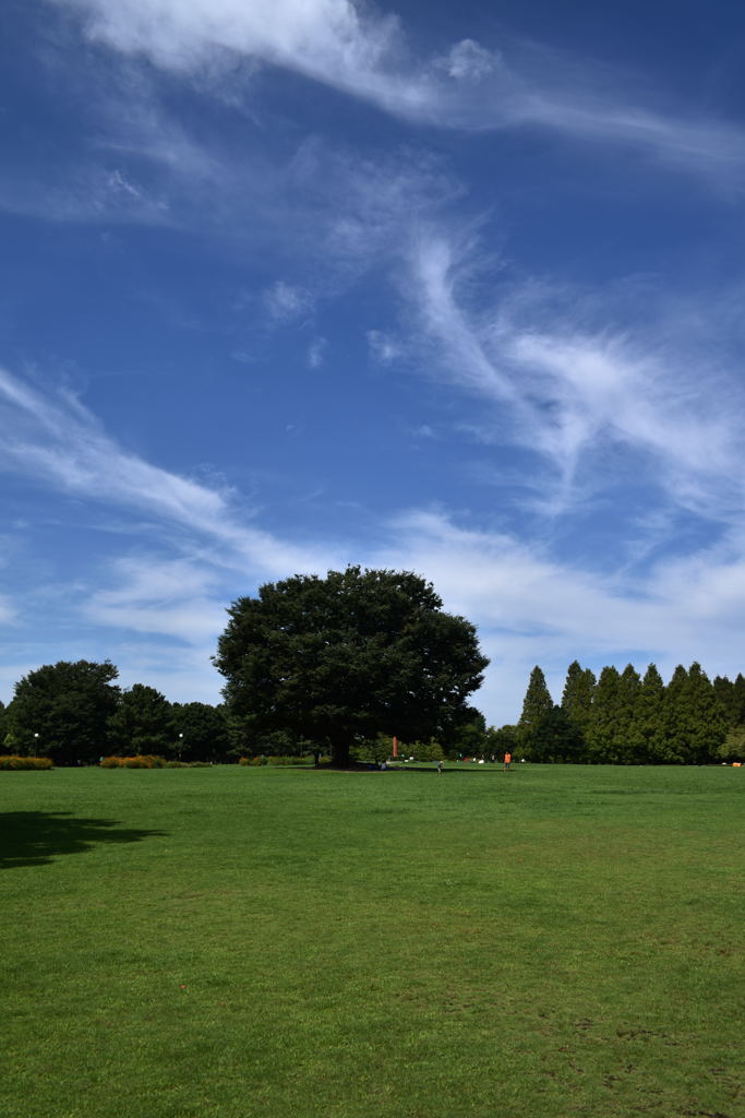 大地と空