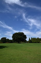 大地と空