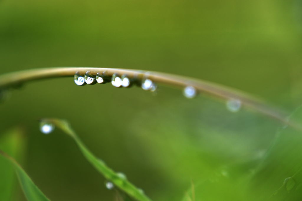 Drop of water
