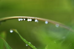 Drop of water
