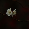 P3140047