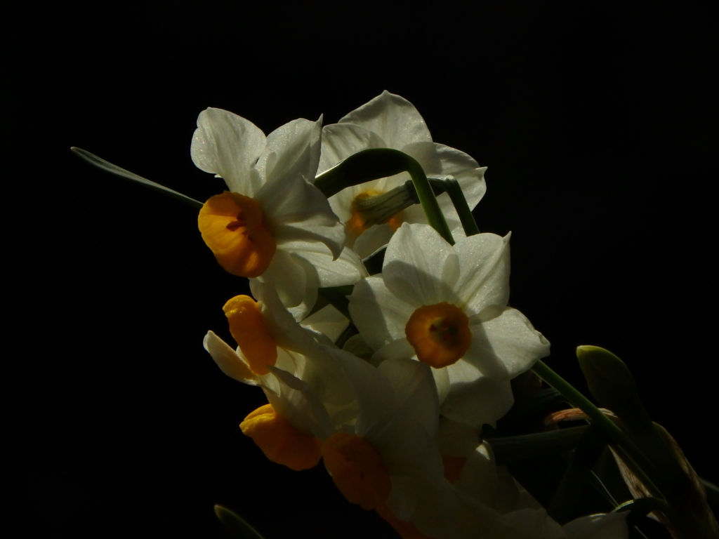 P2280066