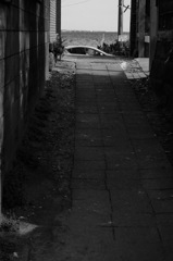 DSC03144