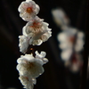 P3210036