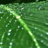 雨上がり