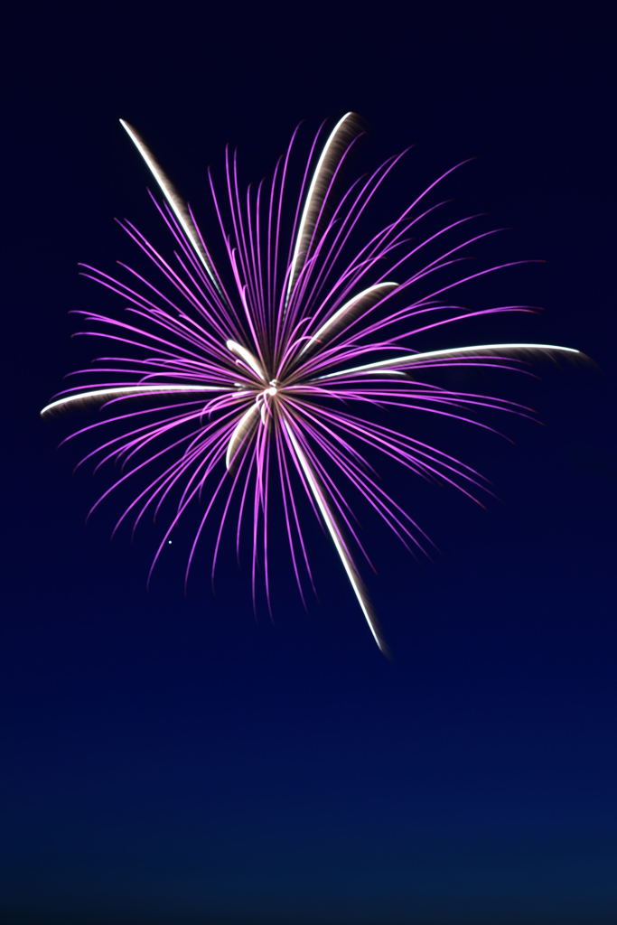 fireworks 1