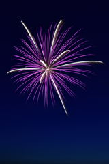 fireworks 1
