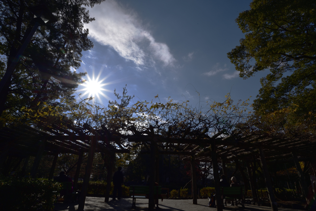 まったりとした時の流れ・・・