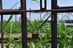 padlock