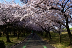 道