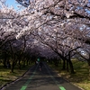 道