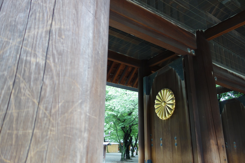 東京観光７