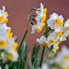 ２月１