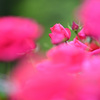 May2