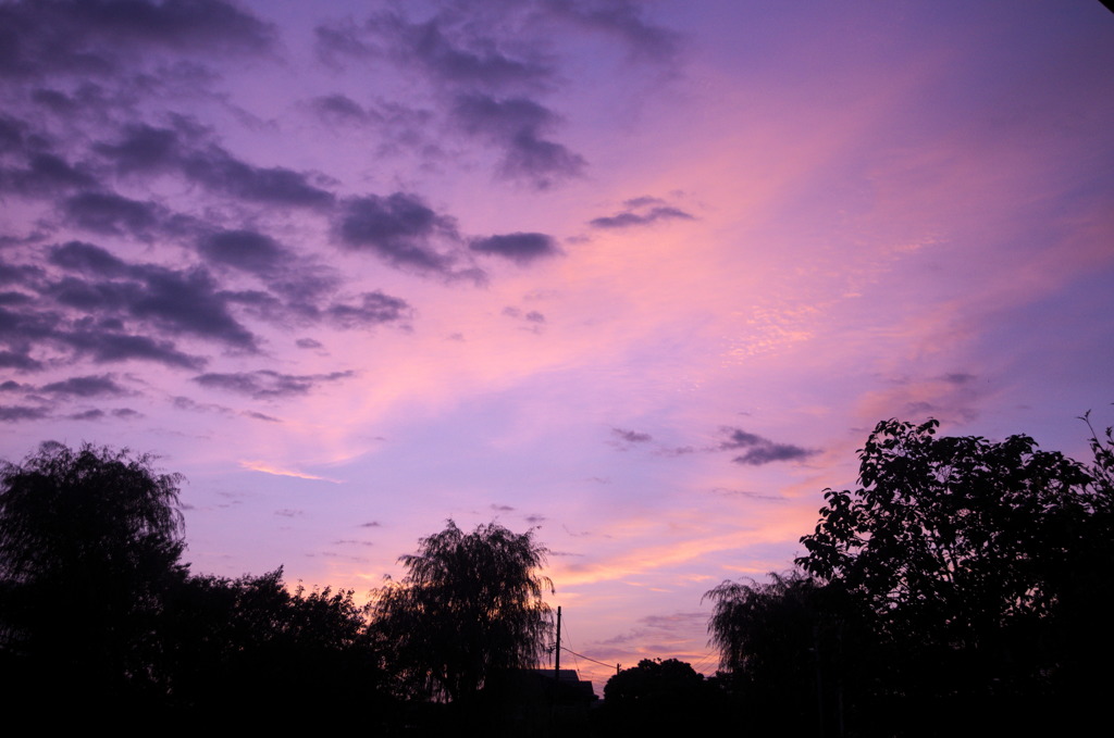 9月24日　俺の空