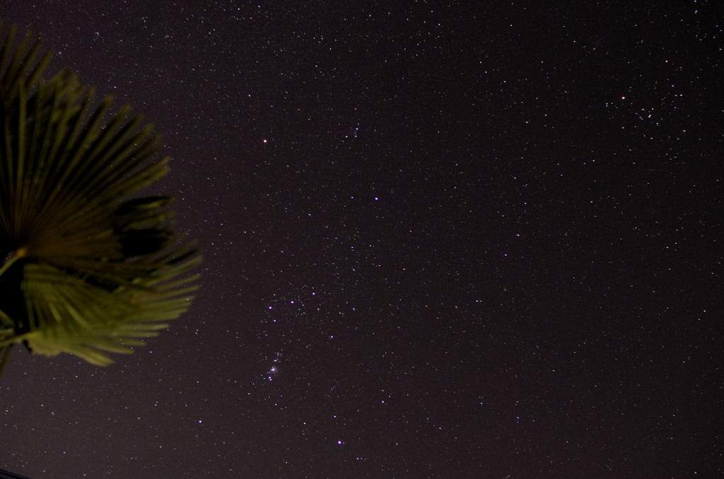 秋の星空