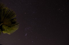 秋の星空