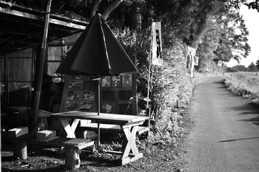 オープンテラス