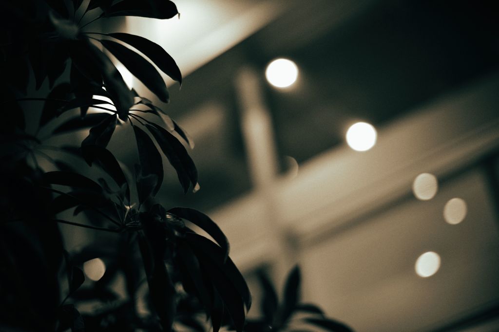 まどろみの中で…