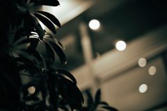 まどろみの中で…