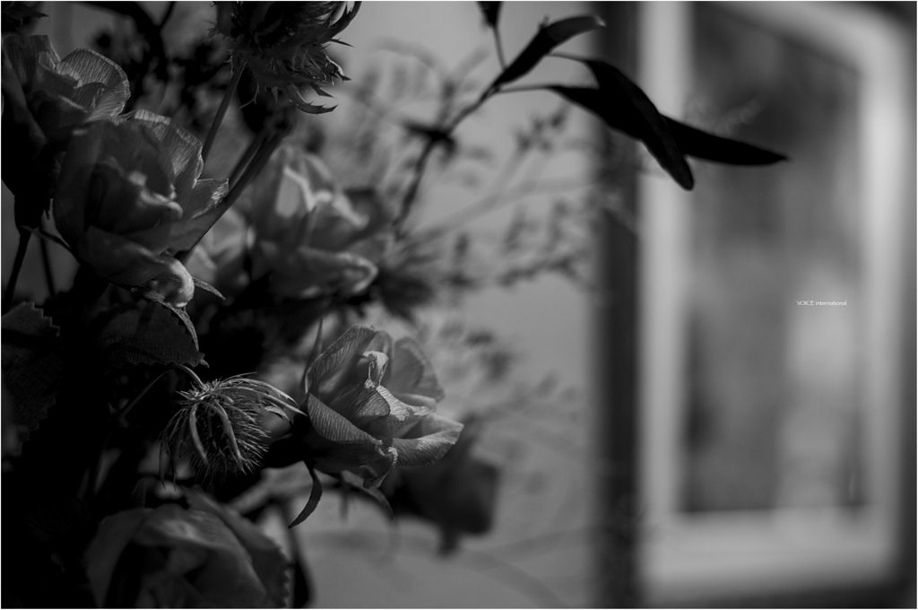 壁際の花