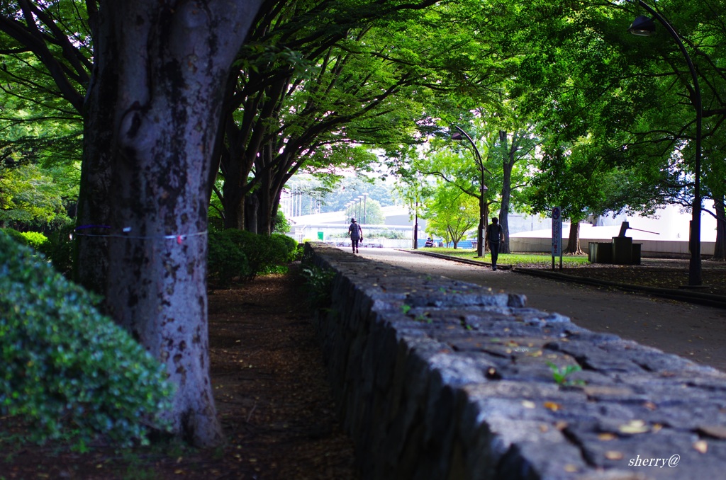 公園