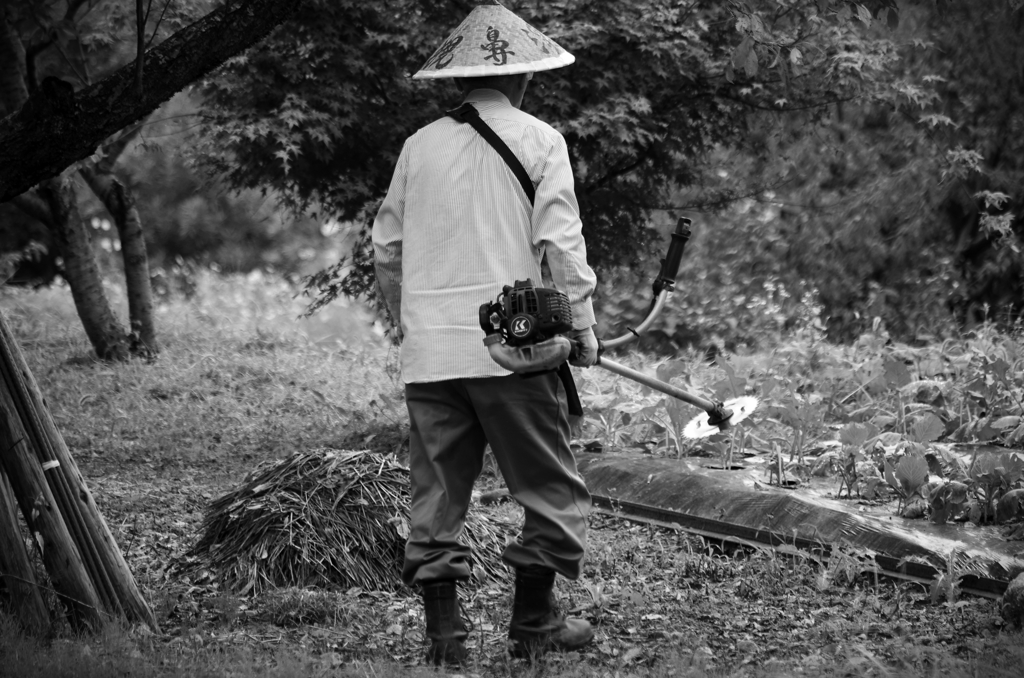 さぁ、始めるか！