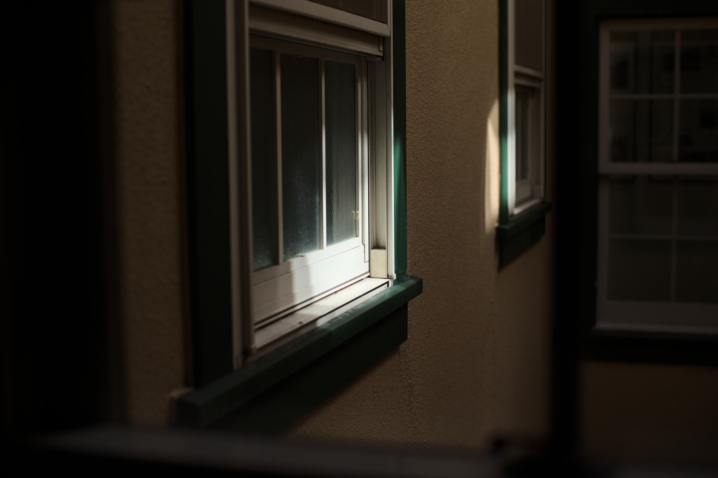 Windows or Mac ?