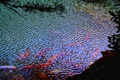 青の池