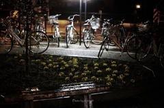 Rainy night