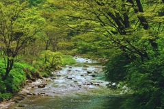 ♪川の流れのように...