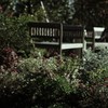 Flowers and bench