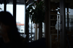 window