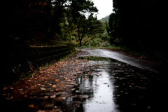 雨の山道