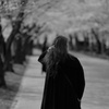 春の風
