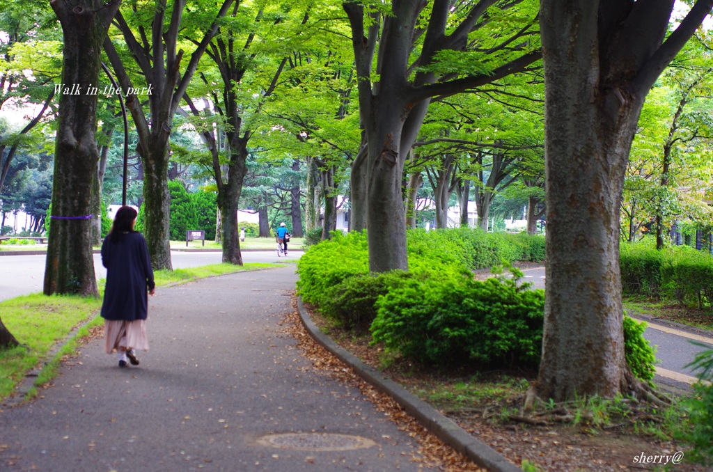 Walk in the park