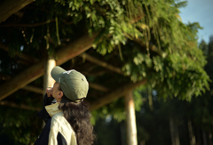 見上げてごらん